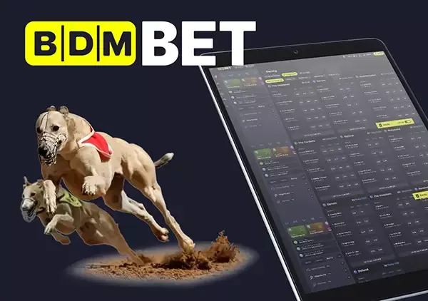 BDMbet καζίνο
